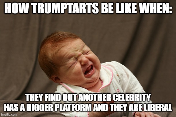 Crying conservatives!! | HOW TRUMPTARTS BE LIKE WHEN:; THEY FIND OUT ANOTHER CELEBRITY HAS A BIGGER PLATFORM AND THEY ARE LIBERAL | image tagged in conservatives,liberals,joe biden | made w/ Imgflip meme maker