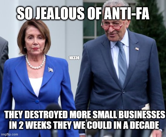 Schumer /pelosi jealous | SO JEALOUS OF ANTI-FA; 10374; THEY DESTROYED MORE SMALL BUSINESSES IN 2 WEEKS THEY WE COULD IN A DECADE | image tagged in small bussinesses destroyed | made w/ Imgflip meme maker