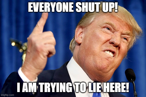 Donald Trump | EVERYONE SHUT UP! I AM TRYING TO LIE HERE! | image tagged in donald trump,funny,memes,lie,here | made w/ Imgflip meme maker