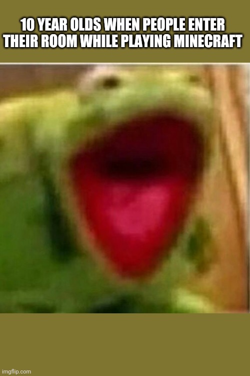 AHHHHHHHHHHHHH | 10 YEAR OLDS WHEN PEOPLE ENTER THEIR ROOM WHILE PLAYING MINECRAFT | image tagged in ahhhhhhhhhhhhh | made w/ Imgflip meme maker