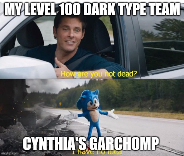 sonic how are you not dead | MY LEVEL 100 DARK TYPE TEAM; CYNTHIA'S GARCHOMP | image tagged in sonic how are you not dead | made w/ Imgflip meme maker