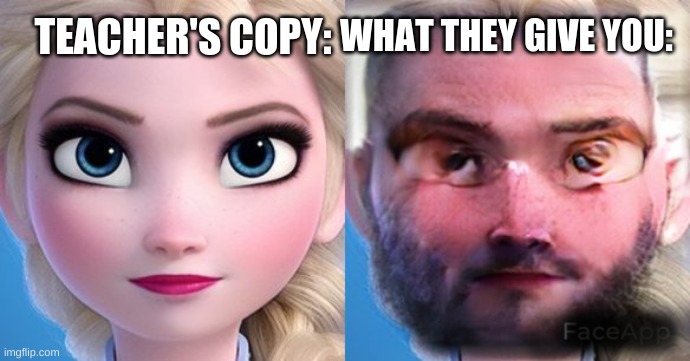 WHAT THEY GIVE YOU:; TEACHER'S COPY: | image tagged in teacher's copy,school,elsa,faceapp | made w/ Imgflip meme maker