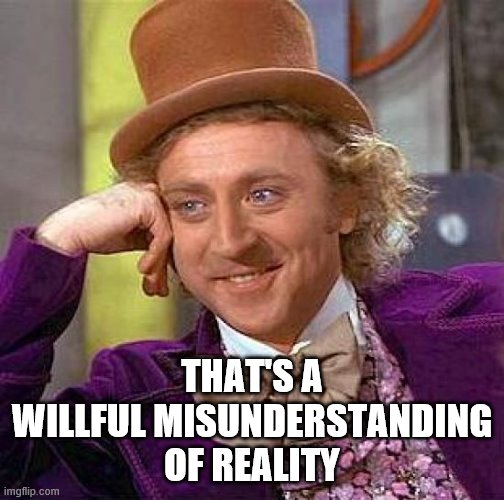 Creepy Condescending Wonka Meme | THAT'S A WILLFUL MISUNDERSTANDING OF REALITY | image tagged in memes,creepy condescending wonka | made w/ Imgflip meme maker