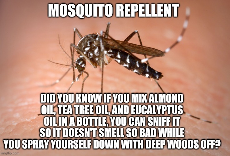 Buzz Off | MOSQUITO REPELLENT; DID YOU KNOW IF YOU MIX ALMOND OIL, TEA TREE OIL, AND EUCALYPTUS OIL IN A BOTTLE, YOU CAN SNIFF IT SO IT DOESN'T SMELL SO BAD WHILE YOU SPRAY YOURSELF DOWN WITH DEEP WOODS OFF? | image tagged in memes,bug repellent,mosquitoes,natural bug spray,tea tree oil | made w/ Imgflip meme maker