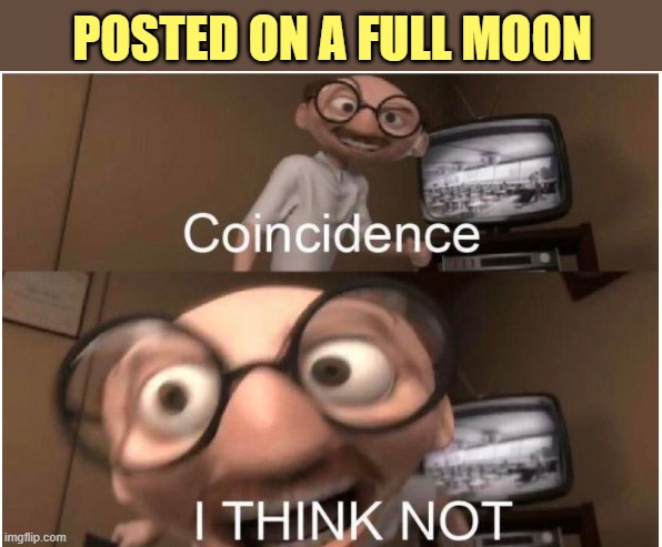 Coincidence, I THINK NOT | POSTED ON A FULL MOON | image tagged in coincidence i think not | made w/ Imgflip meme maker