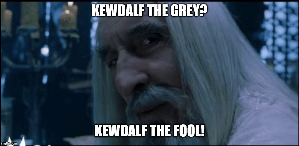 Saruman chosen death | KEWDALF THE GREY? KEWDALF THE FOOL! | image tagged in saruman chosen death | made w/ Imgflip meme maker