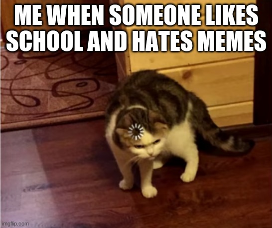 Non memers cannot be friends with me (jk they can but I tthink they're weird tbh) | ME WHEN SOMEONE LIKES SCHOOL AND HATES MEMES | image tagged in loading cat | made w/ Imgflip meme maker