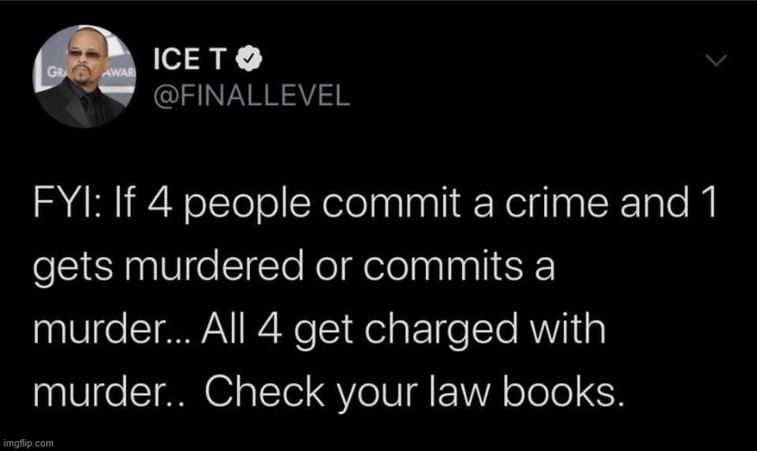 Ice-T based legal analyst | image tagged in police brutality,murder,law,crime,murderer,rap | made w/ Imgflip meme maker