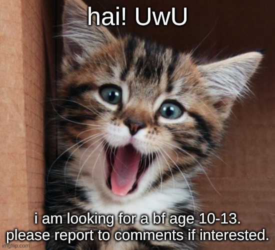 i am looking for someone new in my life :3 | hai! UwU; i am looking for a bf age 10-13. please report to comments if interested. | image tagged in happy cat,taken | made w/ Imgflip meme maker