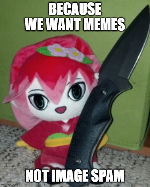 Knife Camellia | BECAUSE WE WANT MEMES NOT IMAGE SPAM | image tagged in knife camellia | made w/ Imgflip meme maker