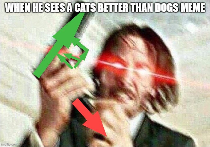 John Wick | WHEN HE SEES A CATS BETTER THAN DOGS MEME | image tagged in john wick | made w/ Imgflip meme maker