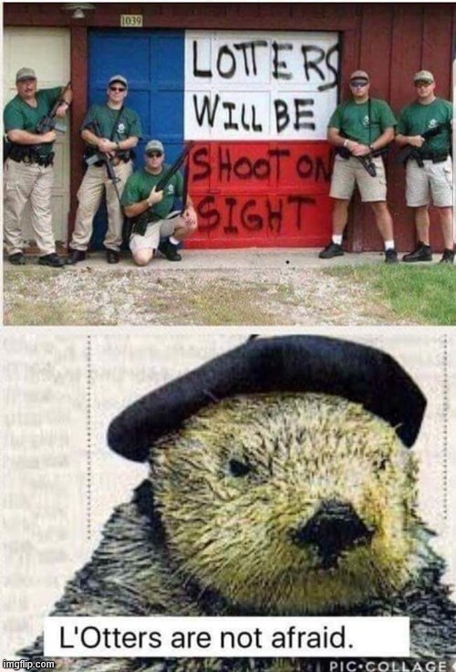 L'OTTERS ARE NOT AFRAID | image tagged in l'otters,looters,political humor,riots,otter,repost | made w/ Imgflip meme maker
