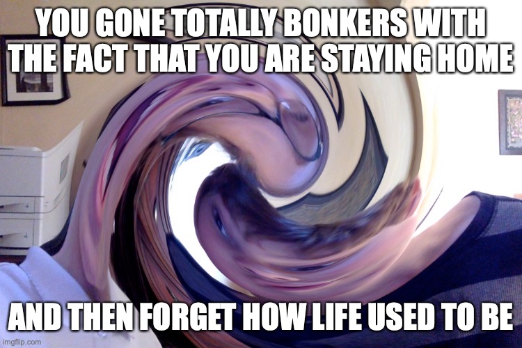 when you stay home | YOU GONE TOTALLY BONKERS WITH THE FACT THAT YOU ARE STAYING HOME; AND THEN FORGET HOW LIFE USED TO BE | image tagged in i forgot | made w/ Imgflip meme maker