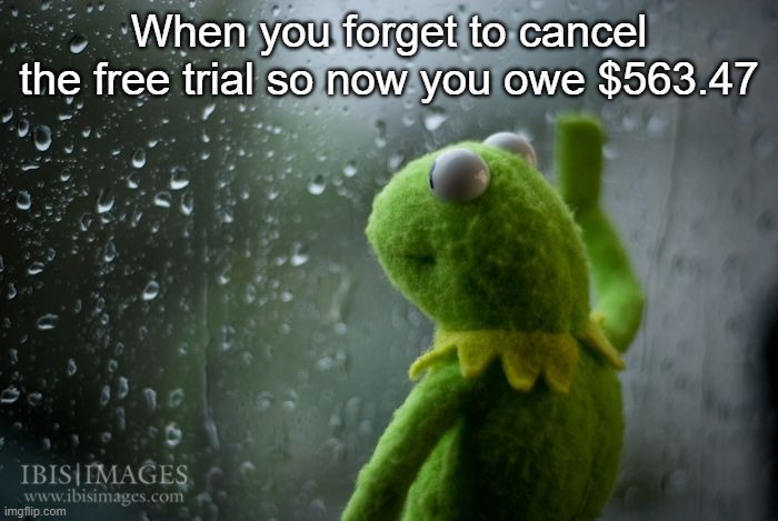 Oh no..... | When you forget to cancel the free trial so now you owe $563.47 | image tagged in kermit window,kermit,kermit the frog | made w/ Imgflip meme maker