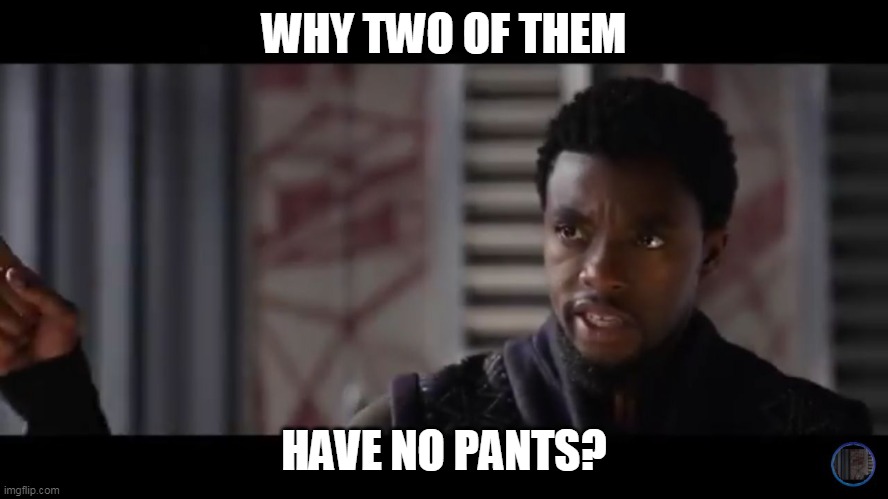 Black Panther - Get this man a shield | WHY TWO OF THEM HAVE NO PANTS? | image tagged in black panther - get this man a shield | made w/ Imgflip meme maker