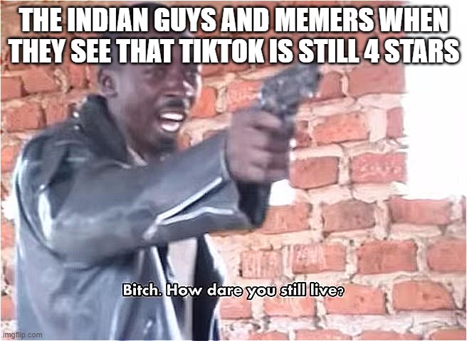 Bitch. How dare you still live |  THE INDIAN GUYS AND MEMERS WHEN THEY SEE THAT TIKTOK IS STILL 4 STARS | image tagged in bitch how dare you still live | made w/ Imgflip meme maker