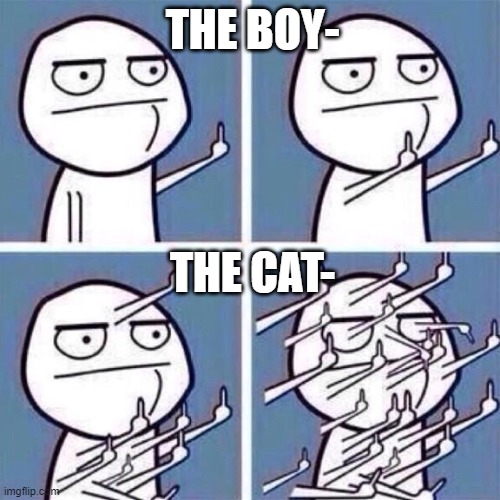 Middle Finger | THE BOY- THE CAT- | image tagged in middle finger | made w/ Imgflip meme maker