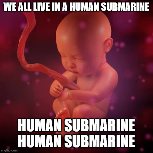 Foetus | WE ALL LIVE IN A HUMAN SUBMARINE HUMAN SUBMARINE
HUMAN SUBMARINE | image tagged in foetus | made w/ Imgflip meme maker