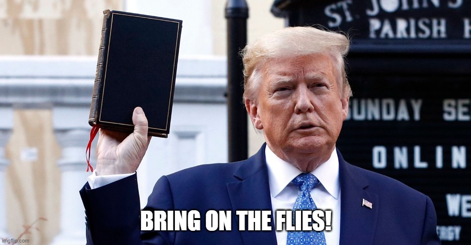 Bring on the flies | BRING ON THE FLIES! | image tagged in donald trump,bible | made w/ Imgflip meme maker