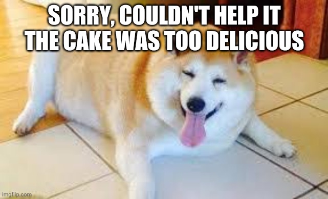 Thicc Doggo | SORRY, COULDN'T HELP IT THE CAKE WAS TOO DELICIOUS | image tagged in thicc doggo | made w/ Imgflip meme maker