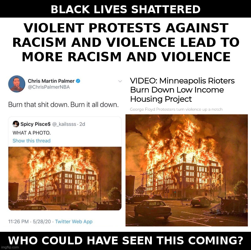 Black Lives Shattered | image tagged in thugs,looters,liberals,black lives matter,minneapolis,house on fire | made w/ Imgflip meme maker