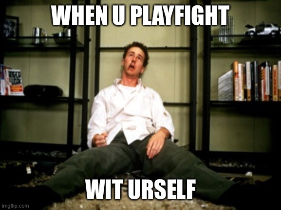 WHEN U PLAYFIGHT; WIT URSELF | image tagged in funny | made w/ Imgflip meme maker