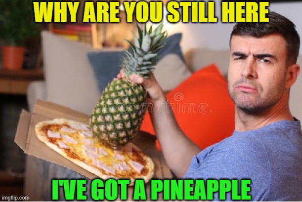 WHY ARE YOU STILL HERE I'VE GOT A PINEAPPLE | made w/ Imgflip meme maker