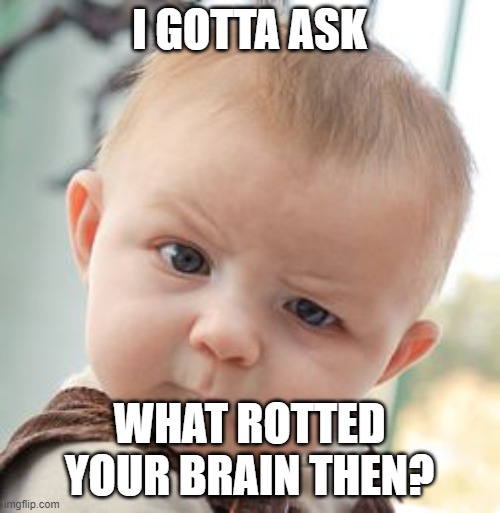 Skeptical Baby Meme | I GOTTA ASK WHAT ROTTED YOUR BRAIN THEN? | image tagged in memes,skeptical baby | made w/ Imgflip meme maker