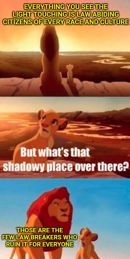 Anyone who sides with the rioters who are murdering, vandalizing, and destroying the cities are just as bad as those doing it. | EVERYTHING YOU SEE THE LIGHT TOUCHING IS LAW ABIDING CITIZENS OF EVERY RACE AND CULTURE; THOSE ARE THE FEW LAW BREAKERS WHO RUIN IT FOR EVERYONE | image tagged in memes,simba shadowy place | made w/ Imgflip meme maker