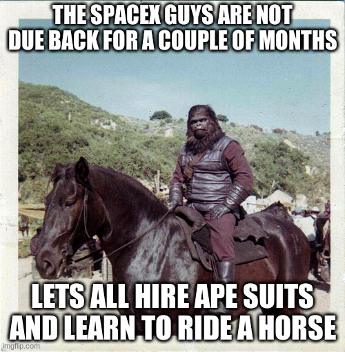 Ape | THE SPACEX GUYS ARE NOT DUE BACK FOR A COUPLE OF MONTHS; LETS ALL HIRE APE SUITS AND LEARN TO RIDE A HORSE | image tagged in planet of the apes | made w/ Imgflip meme maker