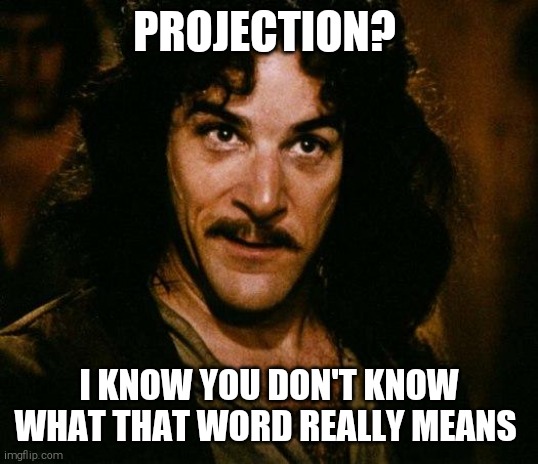 Inigo Montoya Meme | PROJECTION? I KNOW YOU DON'T KNOW WHAT THAT WORD REALLY MEANS | image tagged in memes,inigo montoya | made w/ Imgflip meme maker