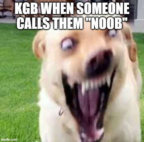 yes | KGB WHEN SOMEONE CALLS THEM "NOOB" | image tagged in well yes but actually no | made w/ Imgflip meme maker