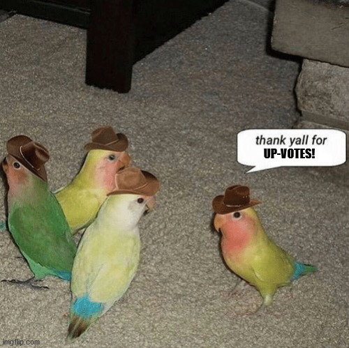 thank y'all for | UP-VOTES! | image tagged in thank y'all for | made w/ Imgflip meme maker