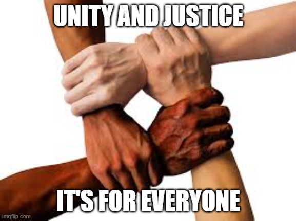 untiy and justice for all | UNITY AND JUSTICE; IT'S FOR EVERYONE | image tagged in social justice warrior | made w/ Imgflip meme maker