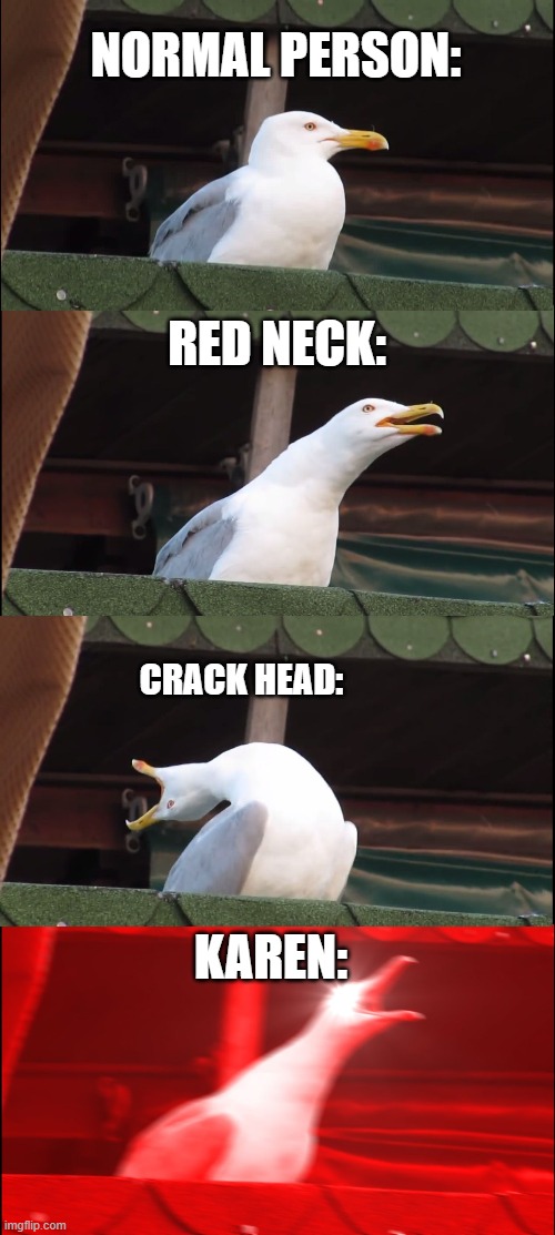 Inhaling Seagull | NORMAL PERSON:; RED NECK:; CRACK HEAD:; KAREN: | image tagged in memes,inhaling seagull | made w/ Imgflip meme maker
