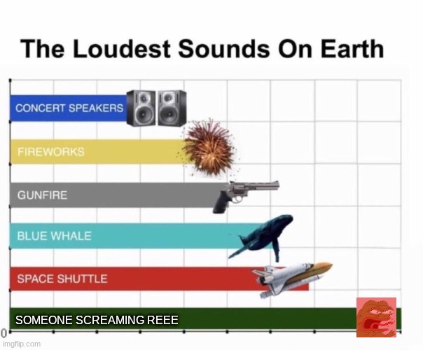What the heck sauce happened here | SOMEONE SCREAMING REEE | image tagged in reeeeeeeeeeeeeeeeeeeeee,the loudest sounds on earth | made w/ Imgflip meme maker