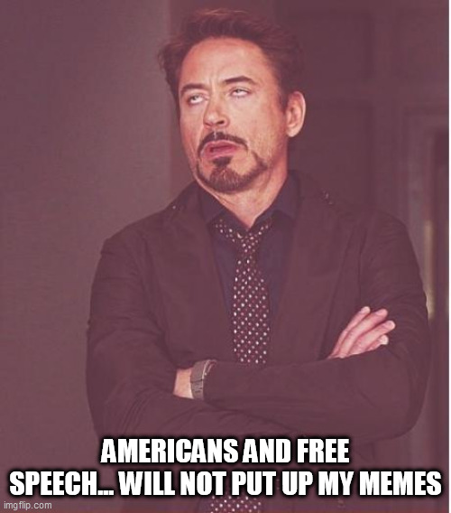 Face You Make Robert Downey Jr Meme | AMERICANS AND FREE SPEECH... WILL NOT PUT UP MY MEMES | image tagged in memes,face you make robert downey jr | made w/ Imgflip meme maker