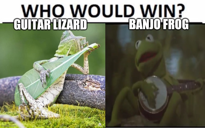 Don't fret; I'm not picking a fight | BANJO FROG; GUITAR LIZARD | image tagged in who would win,guitar,banjo,lizard,kermit the frog | made w/ Imgflip meme maker