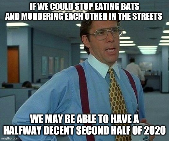 That Would Be Great Meme | IF WE COULD STOP EATING BATS AND MURDERING EACH OTHER IN THE STREETS; WE MAY BE ABLE TO HAVE A HALFWAY DECENT SECOND HALF OF 2020 | image tagged in memes,that would be great | made w/ Imgflip meme maker