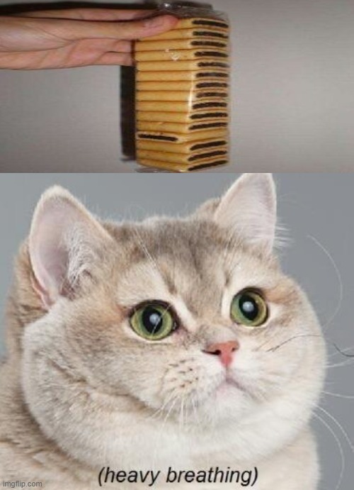 Heavy Breathing Cat | image tagged in memes,heavy breathing cat | made w/ Imgflip meme maker