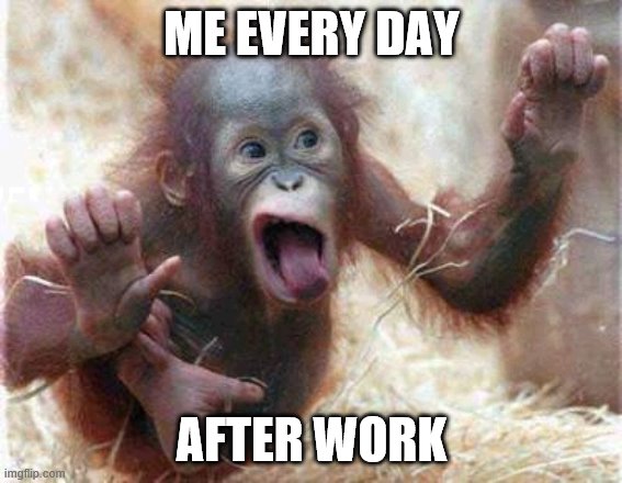After work crazy | ME EVERY DAY; AFTER WORK | image tagged in monkey | made w/ Imgflip meme maker