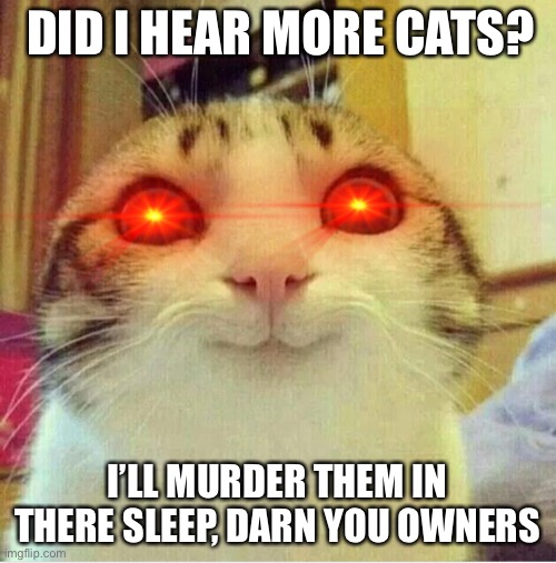 Thanks For 400! | DID I HEAR MORE CATS? I’LL MURDER THEM IN THERE SLEEP, DARN YOU OWNERS | image tagged in cat,siblings,every big bro/ sis in a nutshell,murder | made w/ Imgflip meme maker