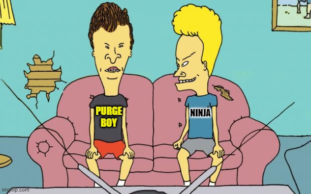 Beavis and Butthead | NINJA PURGE
BOY | image tagged in beavis and butthead | made w/ Imgflip meme maker