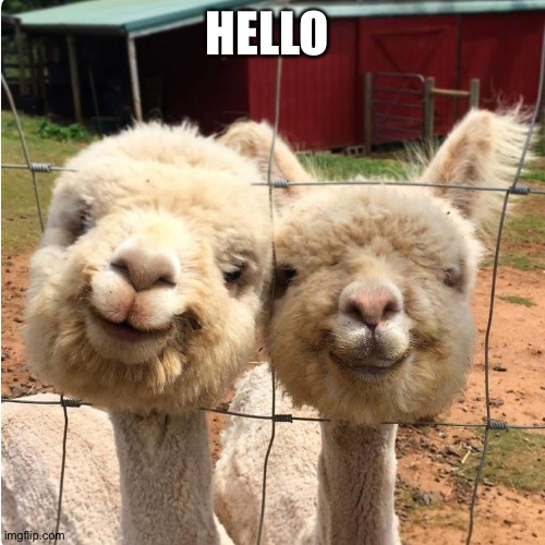 HELLO | made w/ Imgflip meme maker