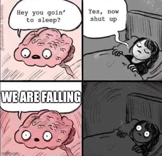 waking up brain | WE ARE FALLING | image tagged in waking up brain | made w/ Imgflip meme maker