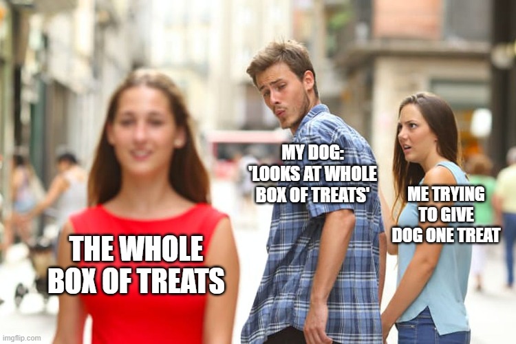Distracted Boyfriend Meme | MY DOG: 'LOOKS AT WHOLE BOX OF TREATS'; ME TRYING TO GIVE DOG ONE TREAT; THE WHOLE BOX OF TREATS | image tagged in memes,distracted boyfriend | made w/ Imgflip meme maker