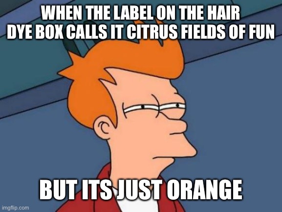I’m hilarious. jk i wish #firstmeme | WHEN THE LABEL ON THE HAIR DYE BOX CALLS IT CITRUS FIELDS OF FUN; BUT ITS JUST ORANGE | image tagged in memes,futurama fry | made w/ Imgflip meme maker