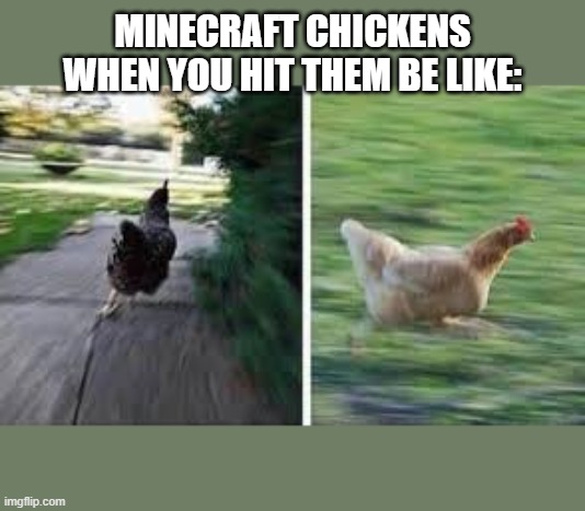 running chicken | MINECRAFT CHICKENS WHEN YOU HIT THEM BE LIKE: | image tagged in running chicken,minecraft,minecraft chickens | made w/ Imgflip meme maker