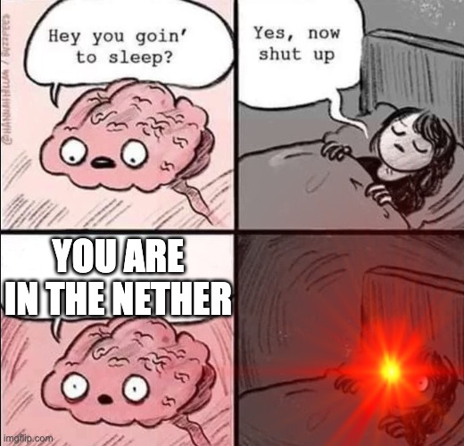 saw this on the internet | YOU ARE IN THE NETHER | image tagged in minecraft,funny memes | made w/ Imgflip meme maker