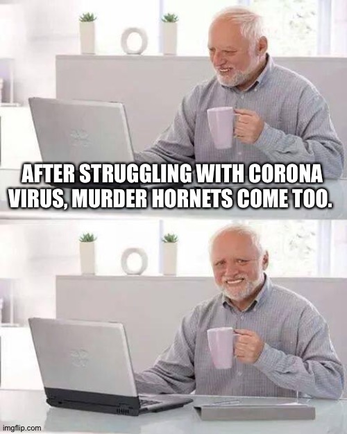 I’m late but still | AFTER STRUGGLING WITH CORONA VIRUS, MURDER HORNETS COME TOO. | image tagged in memes,hide the pain harold | made w/ Imgflip meme maker
